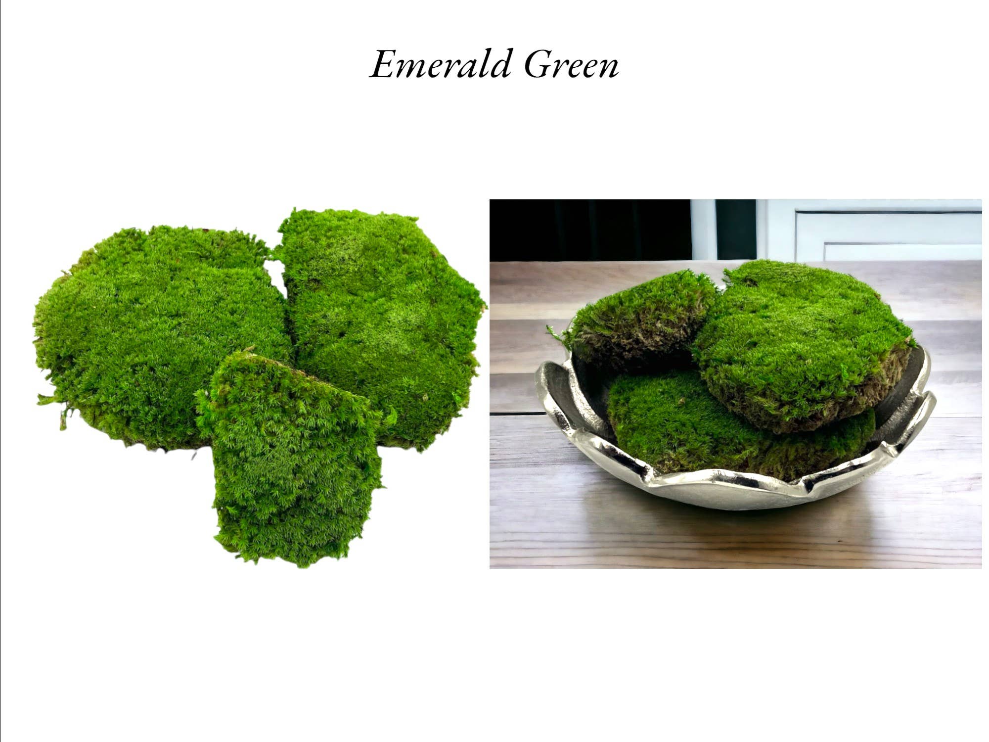 Dried Preserved Green Mood Moss 1lb Box