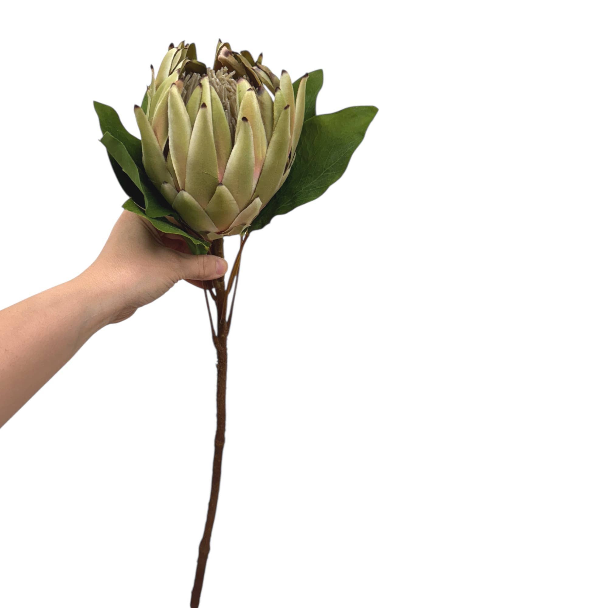 24"Large Extra Bloom Artificial King Protea *