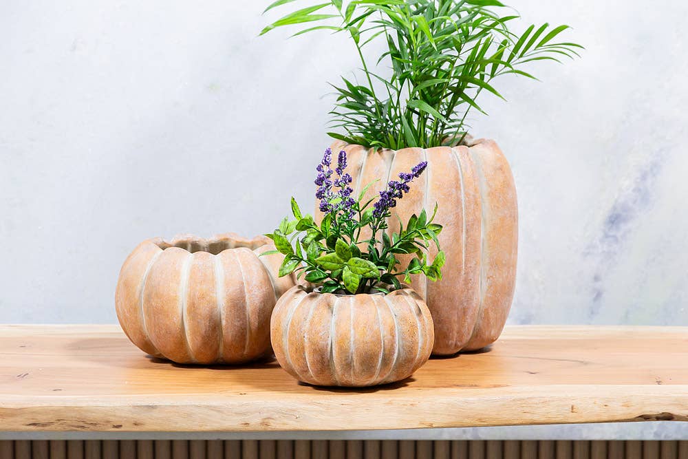 Cement Pumpkin Planter *
