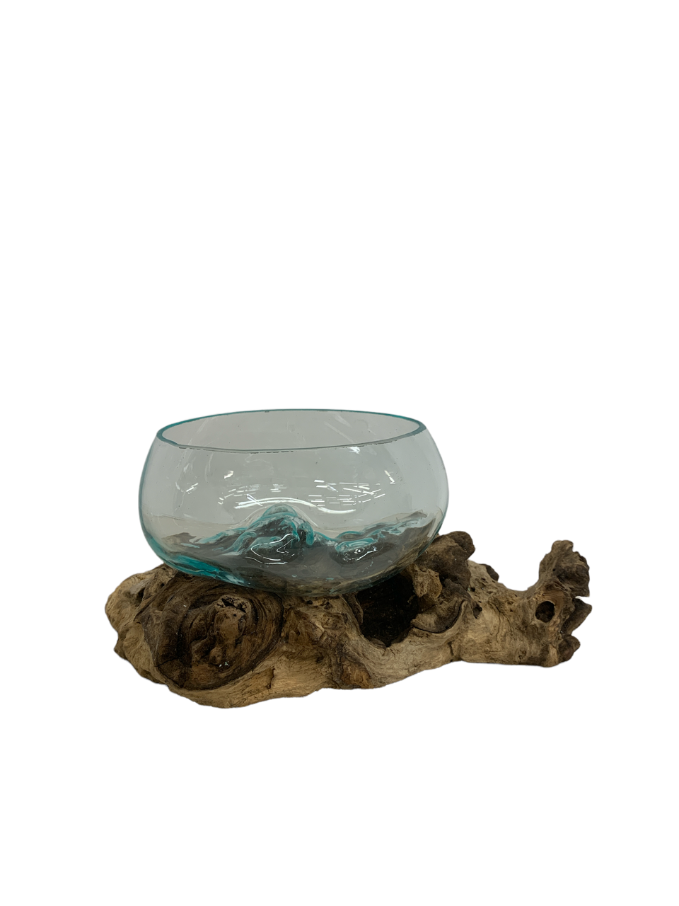 Succulent Dish/Terrarium Hand Blown Glass on Driftwood *