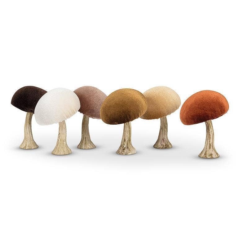 Velvet Mushroom *