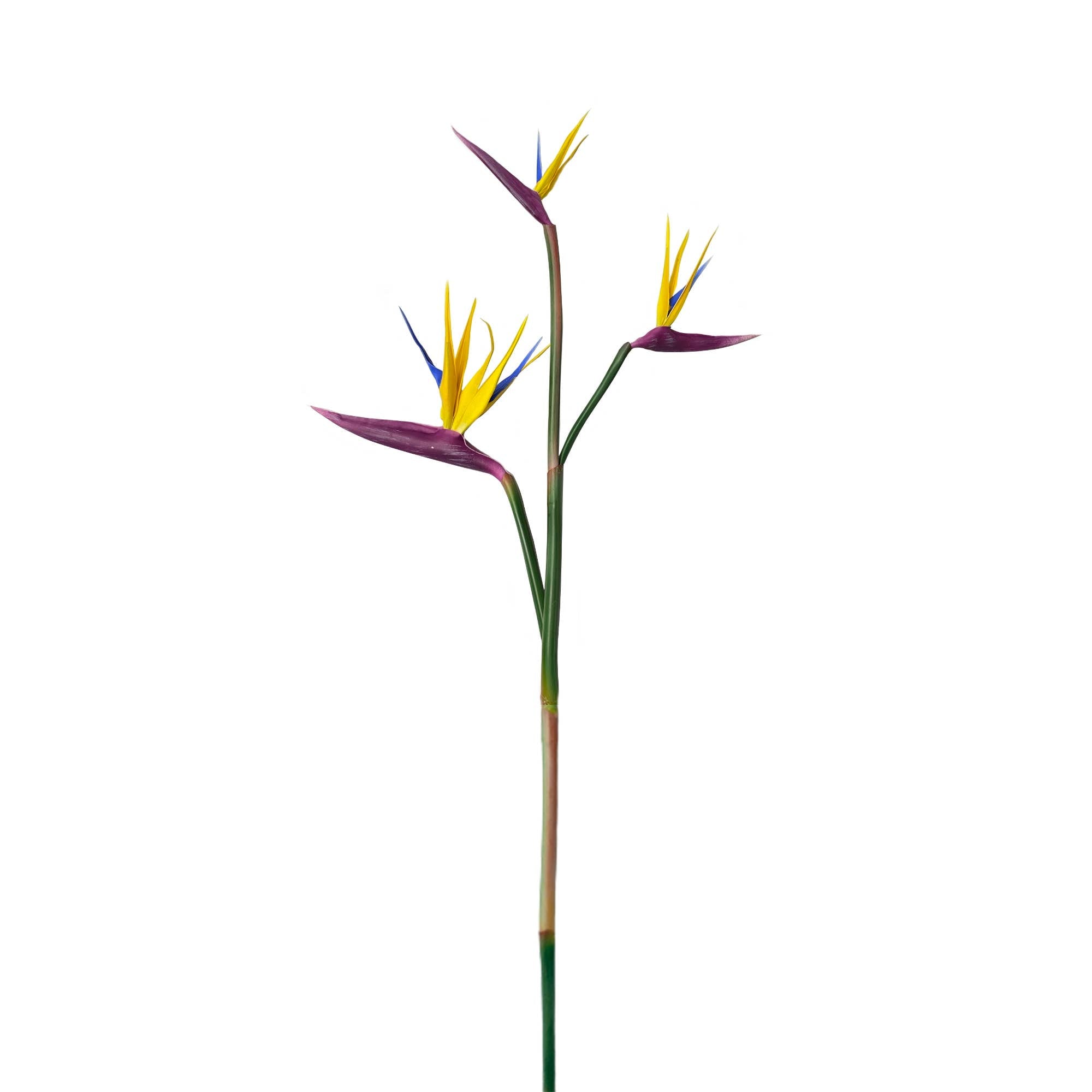Extra Large-3 Blooms-Real Touch Bird of Paradise-36"Long