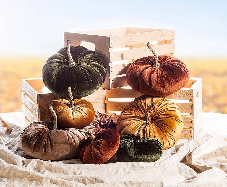 Velvet Pumpkin *