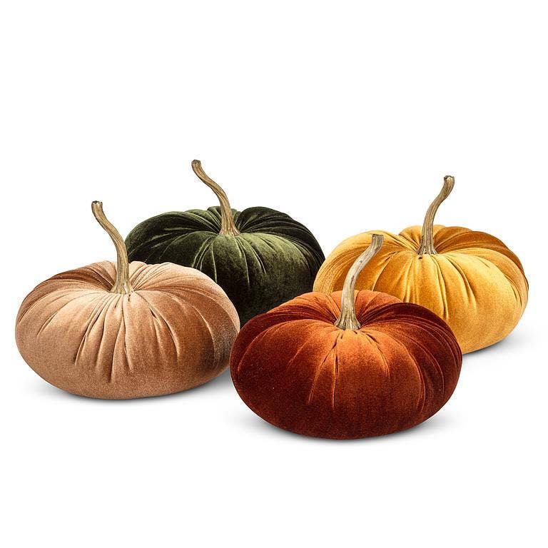 Velvet Pumpkin *