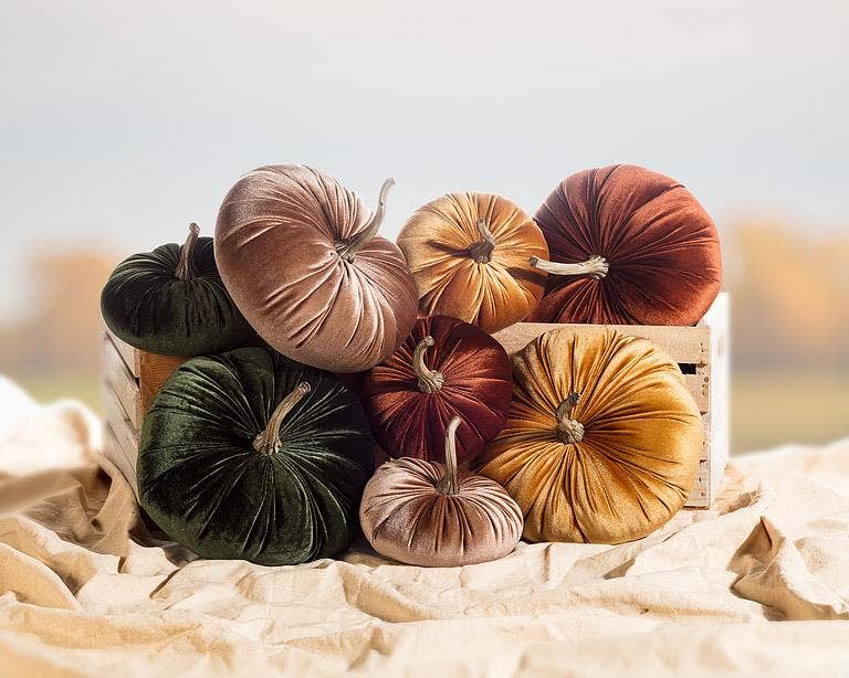 Velvet Pumpkin *
