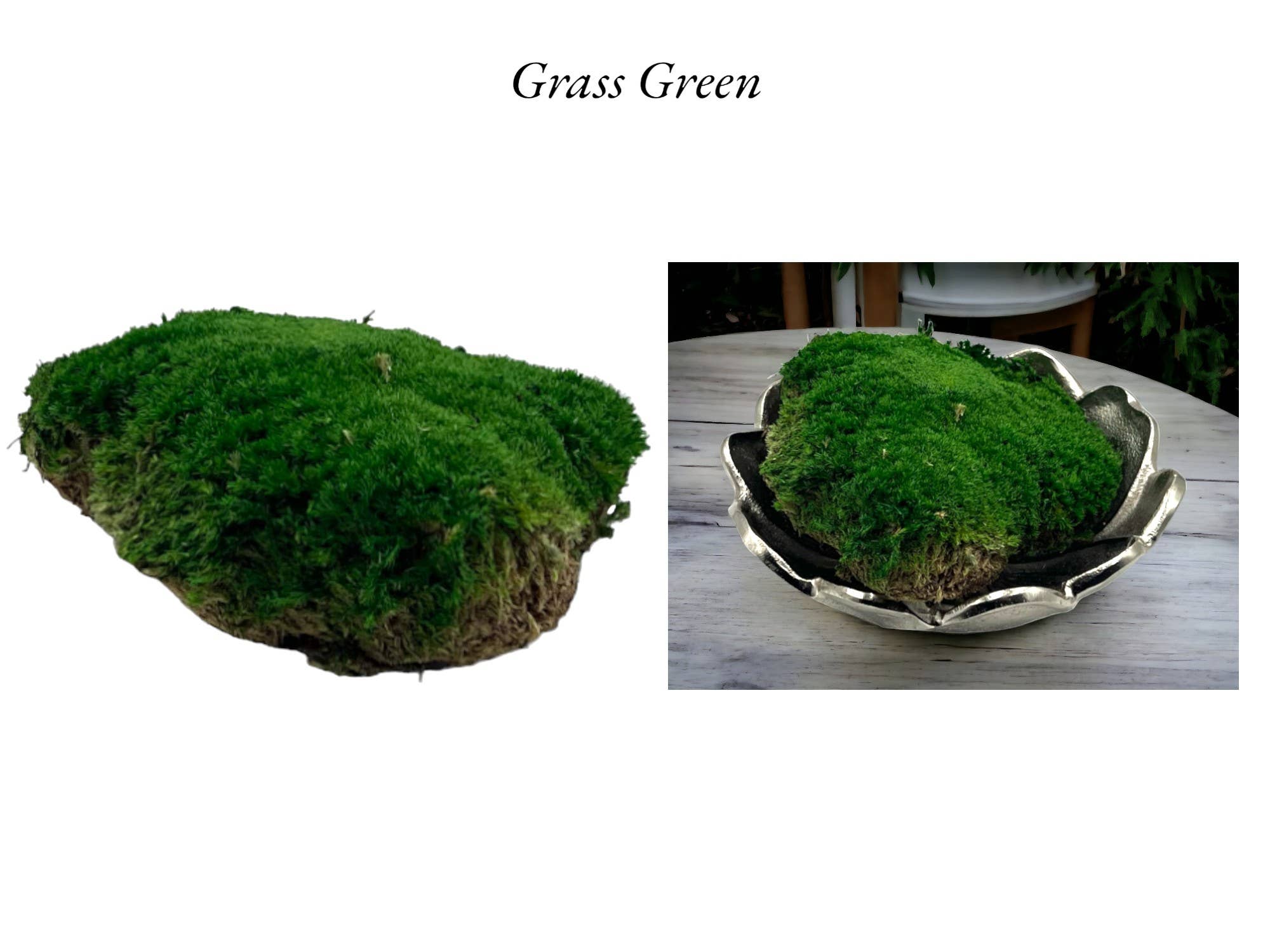 Dried Preserved Green Mood Moss 1lb Box