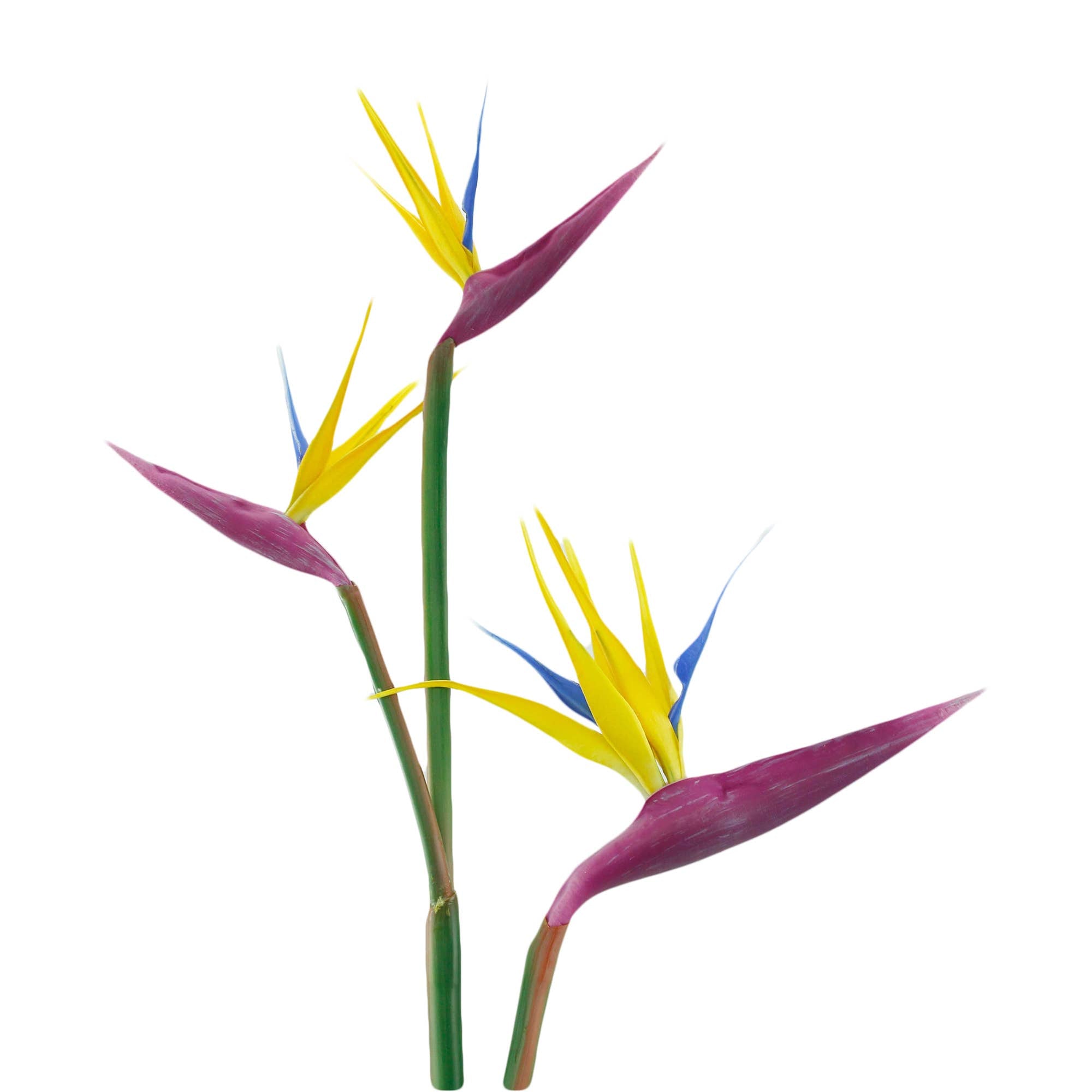 Extra Large-3 Blooms-Real Touch Bird of Paradise-36"Long