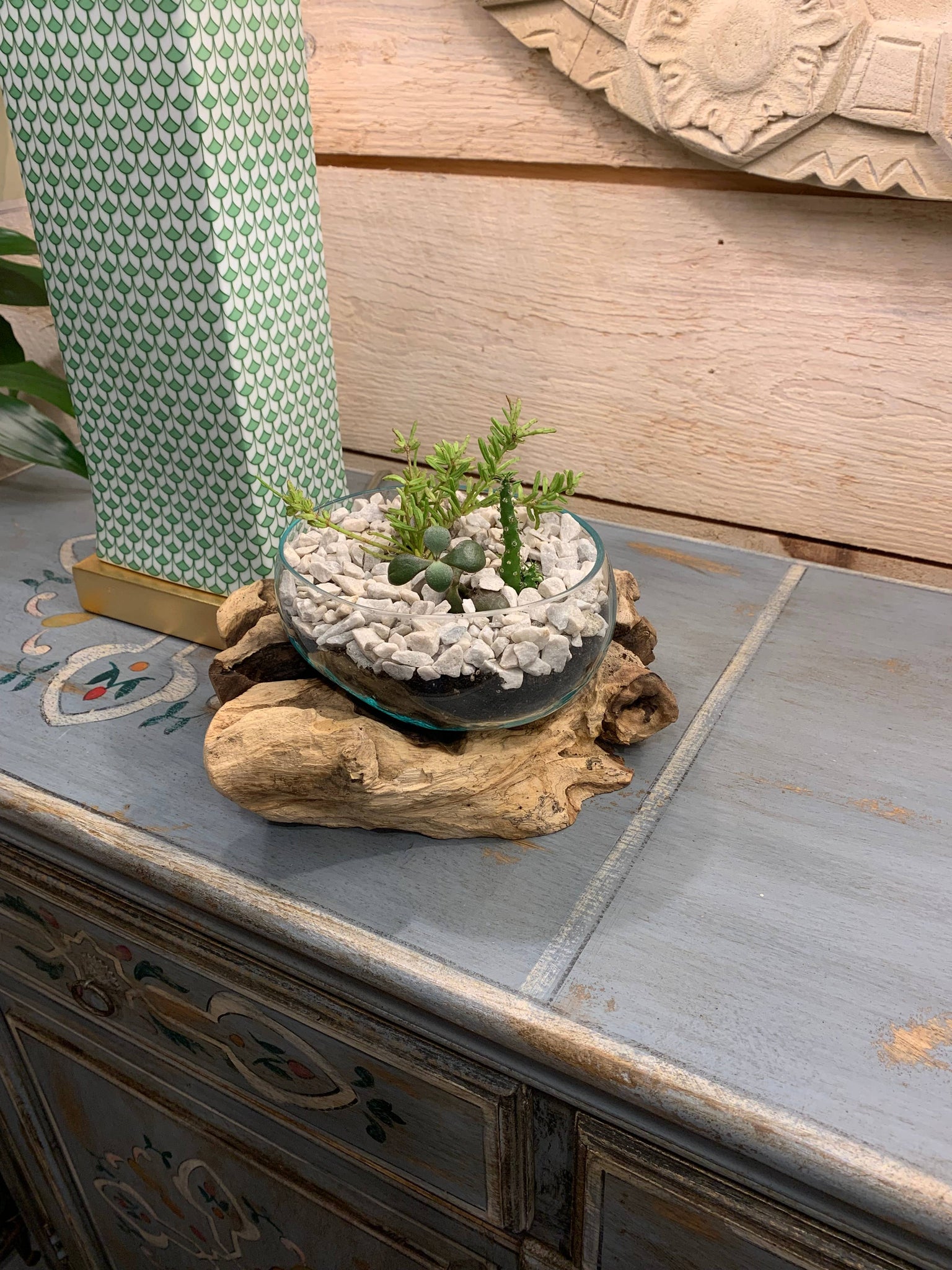 Succulent Dish/Terrarium Hand Blown Glass on Driftwood *