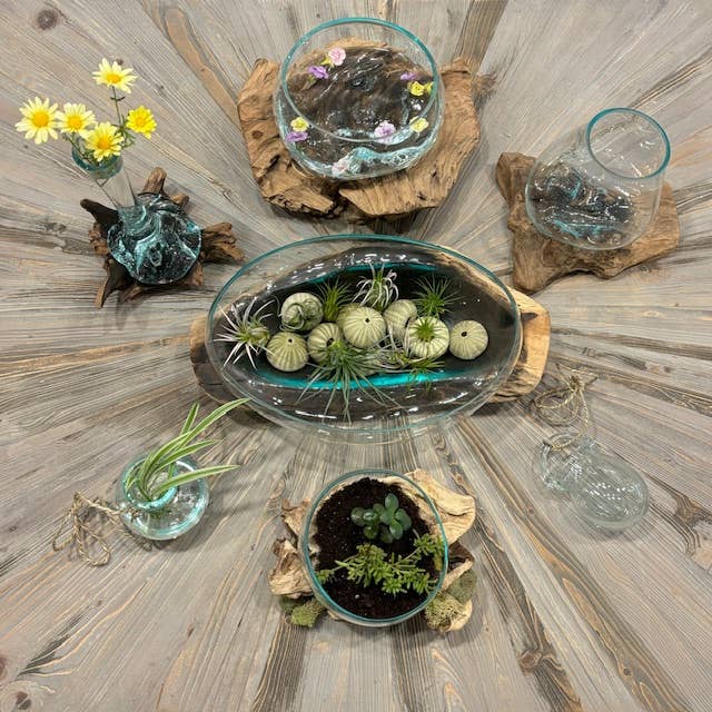 Flower Bud Vase-Driftwood & Glass *