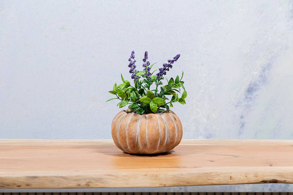Cement Pumpkin Planter *
