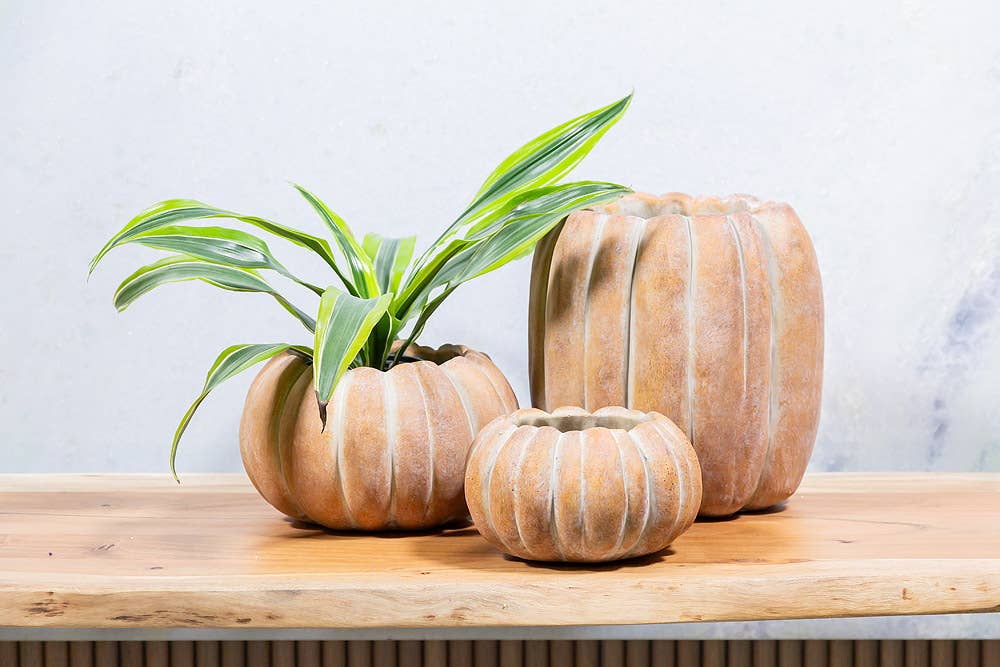 Cement Pumpkin Planter *