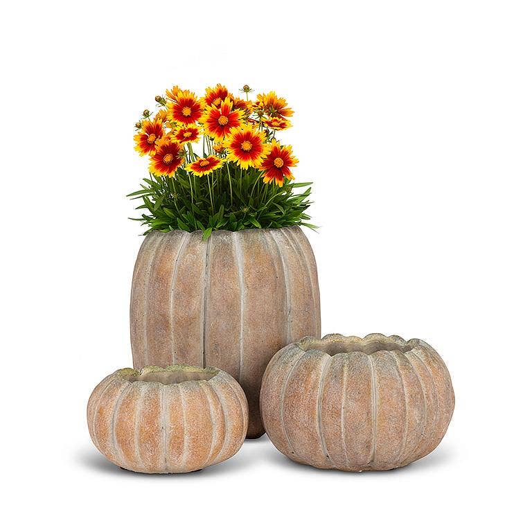 Cement Pumpkin Planter *