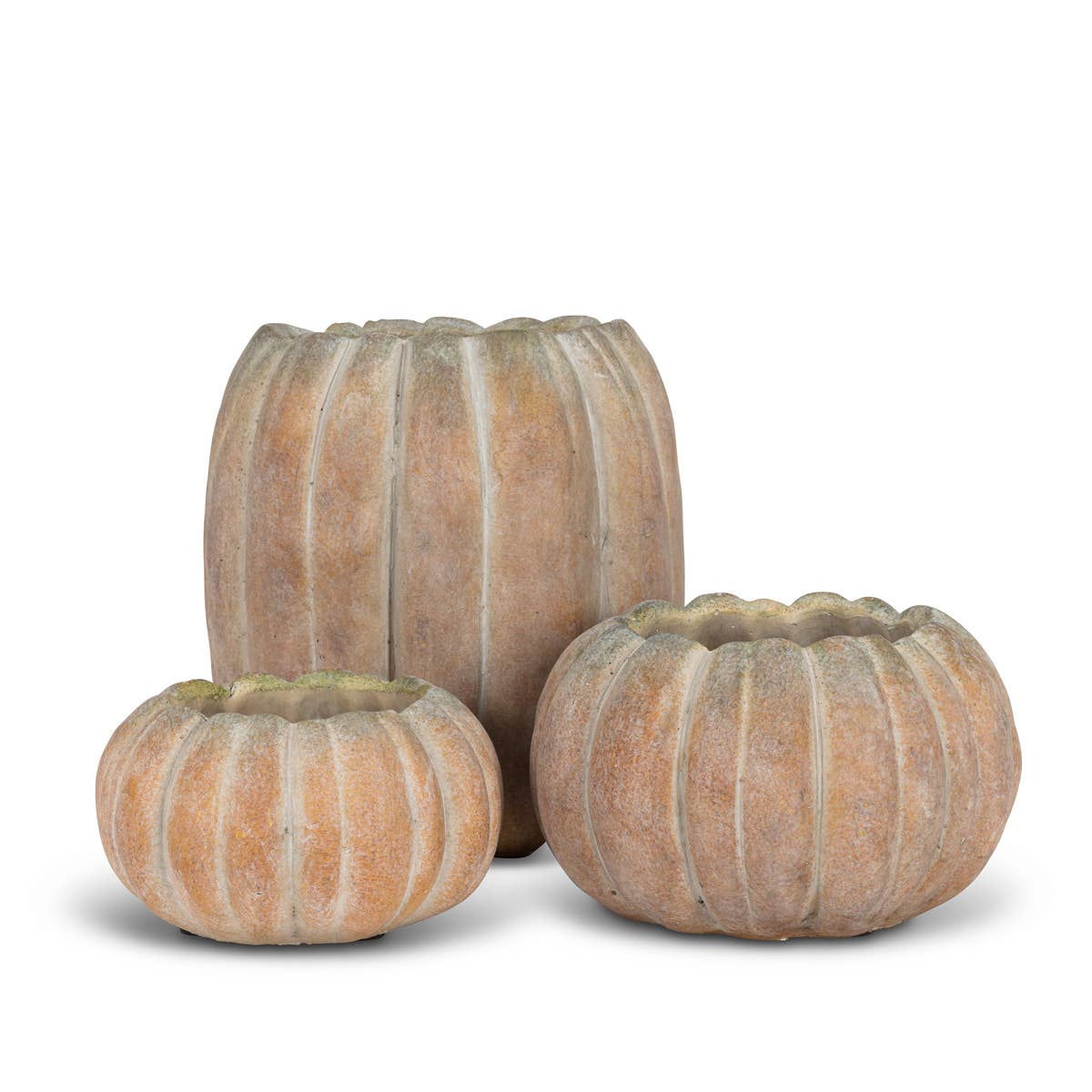 Cement Pumpkin Planter *
