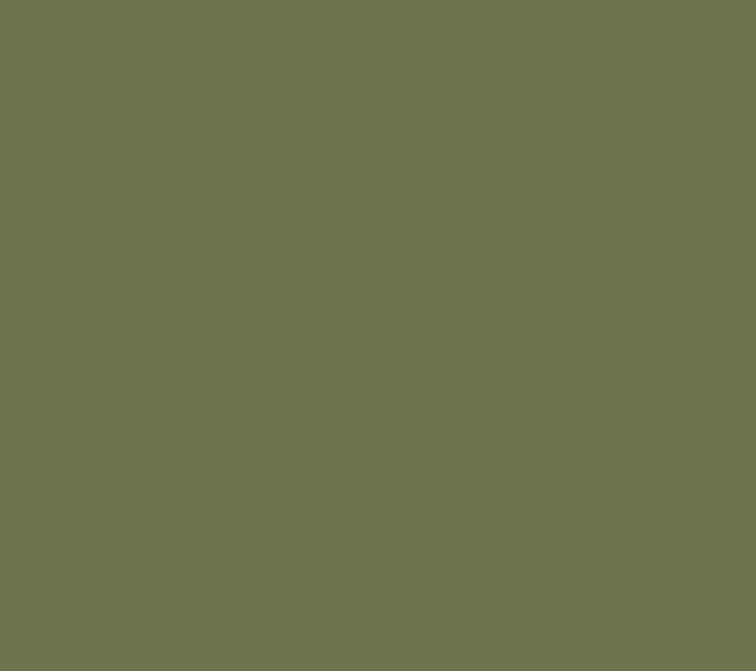 The Cozy: Organic Cotton Blanket: Green *