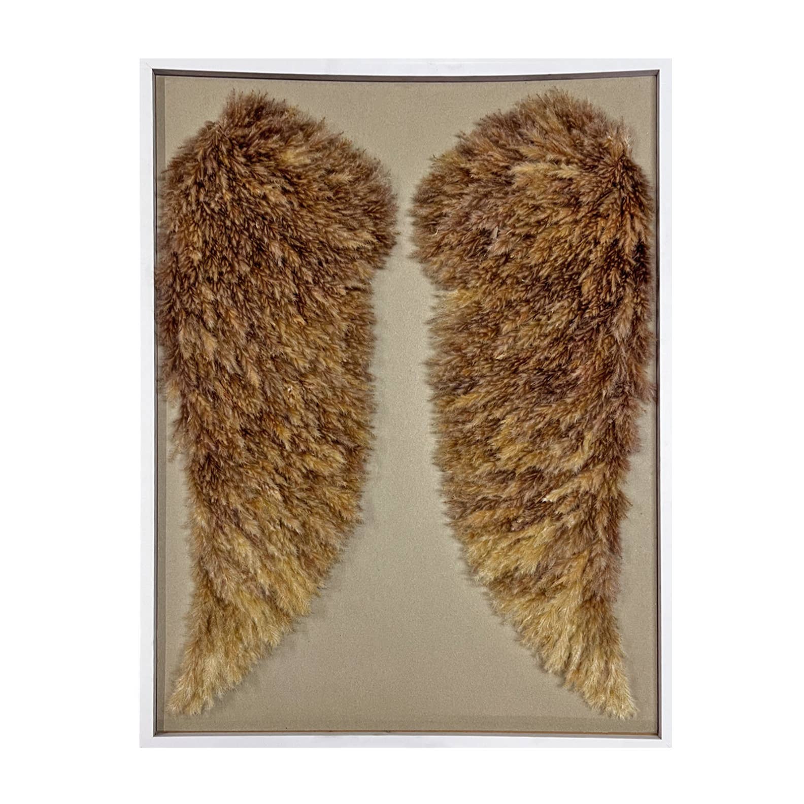 Angel Wing Wall Art Made From Preserved Pampas Grass 40"
