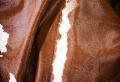 Cowhide