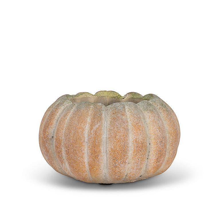 Cement Pumpkin Planter *