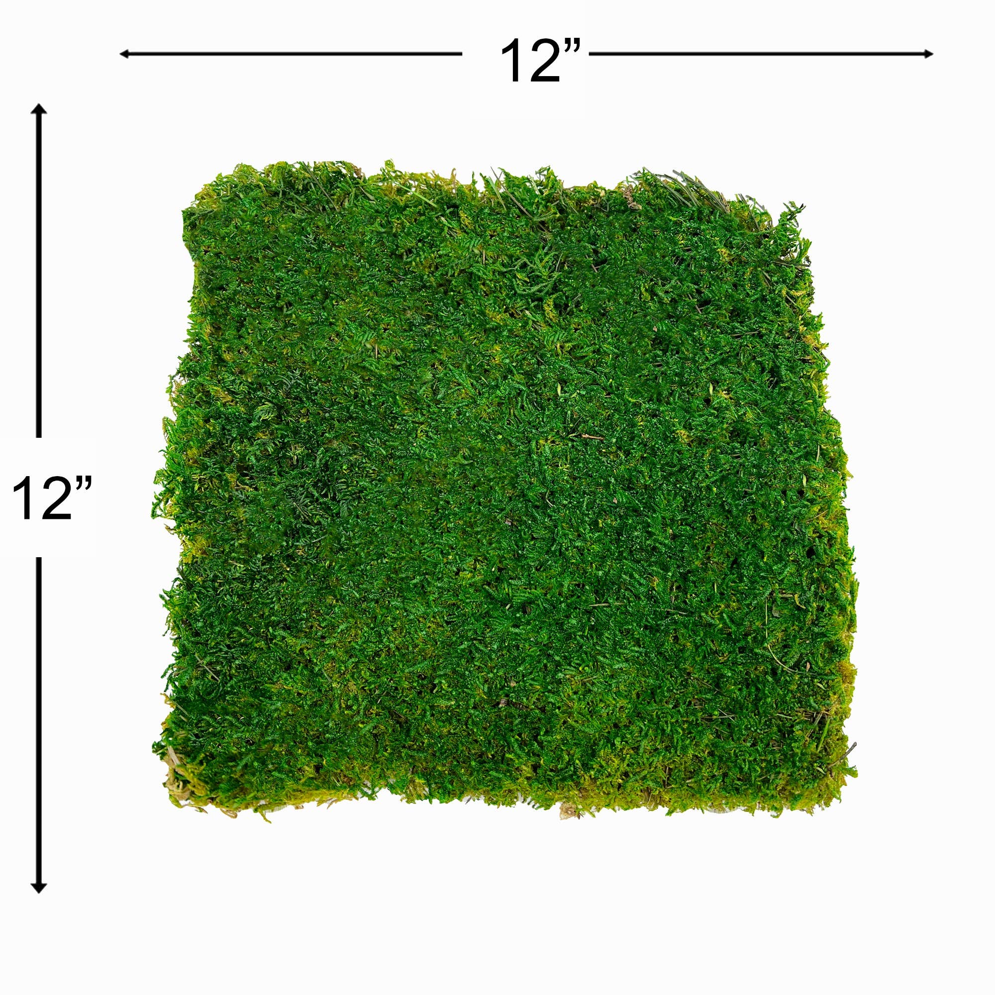 Box of 2 12 inch Sheets of Preserved Flat Moss