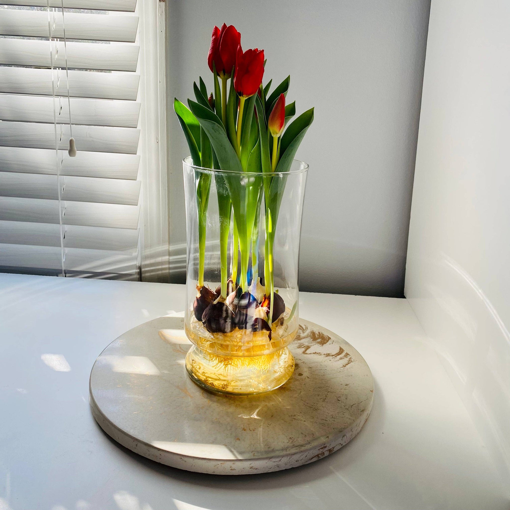 Concrete Lazy Susan 14": Off white black & gold marble *